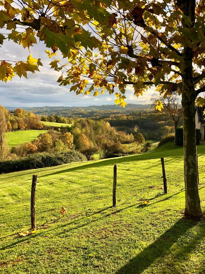 Domaine Leyvinie, Gite Chardonnay, Close To Dordogne Perpezac-le-Blanc Buitenkant foto